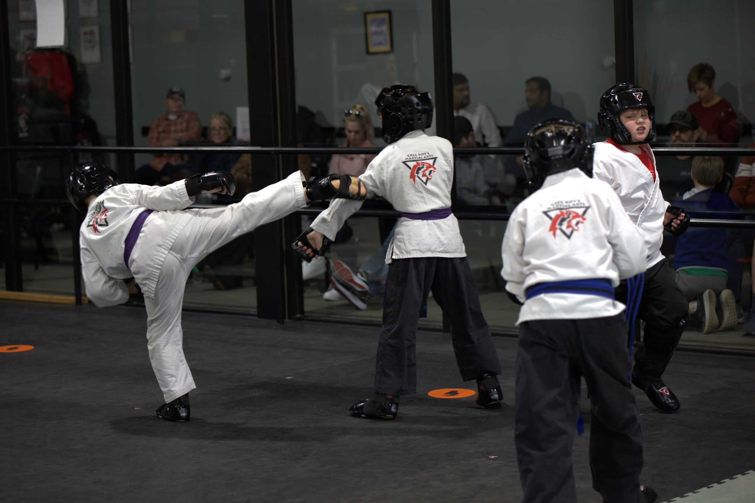Greg Roy's Martial Arts Academy Home School Program