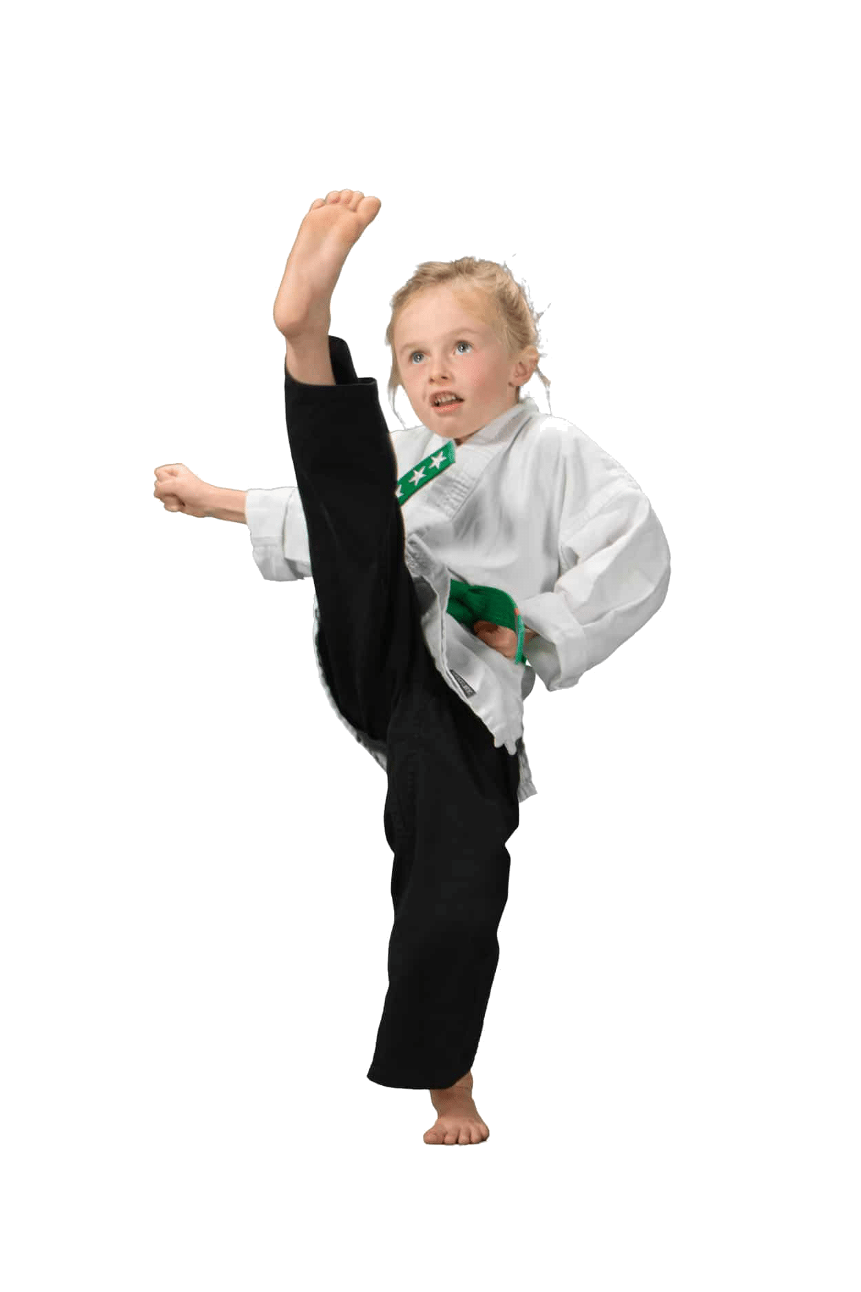 Greg Roy's Martial Arts Academy Taekwondo