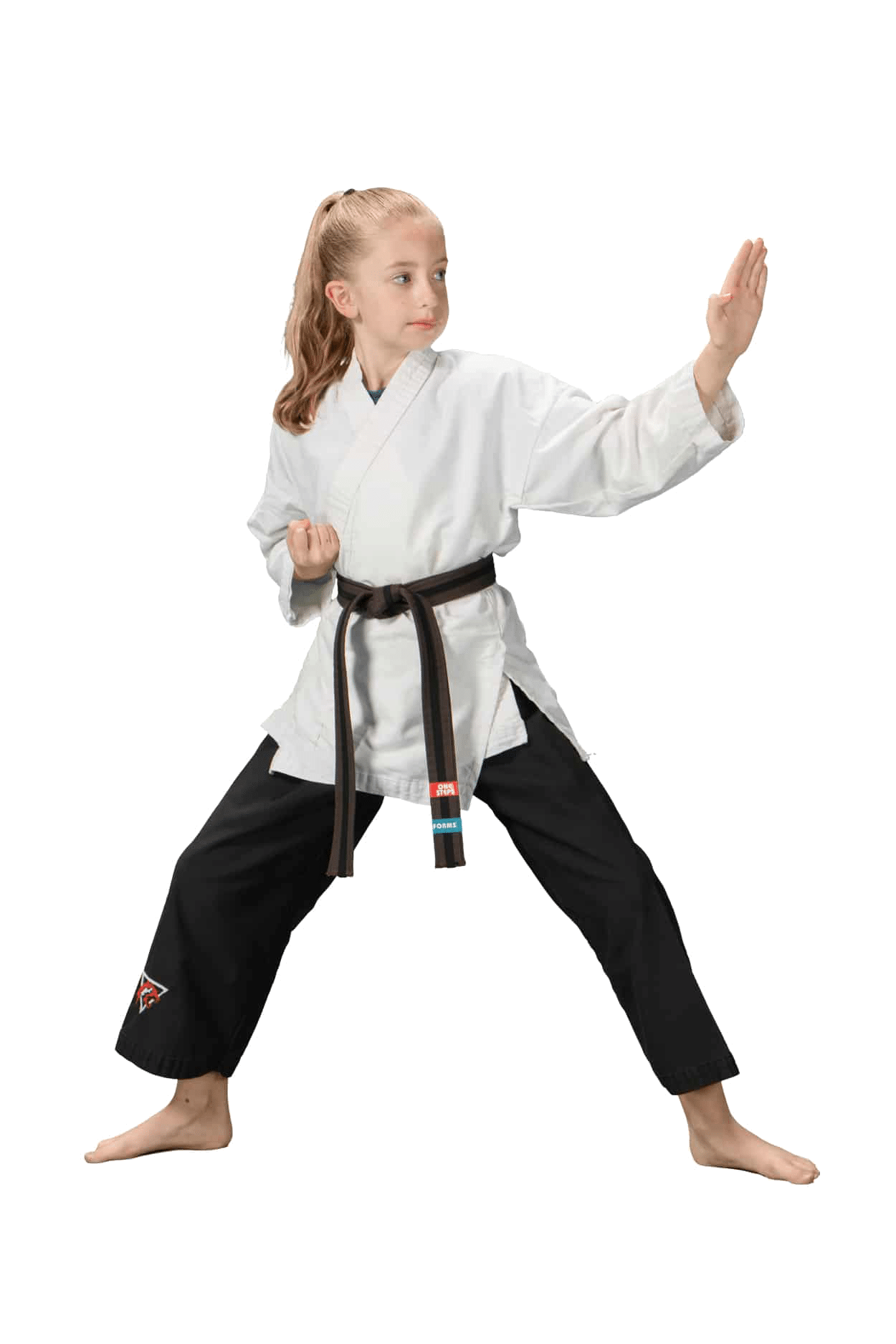Greg Roy's Martial Arts Academy Home School Program: ages 6+