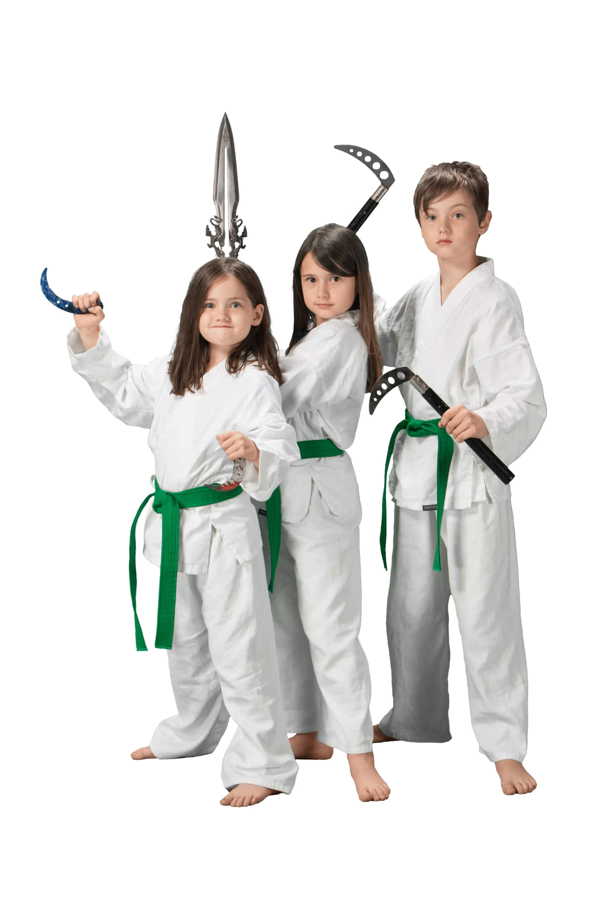 Greg Roy's Martial Arts Academy Home School Program