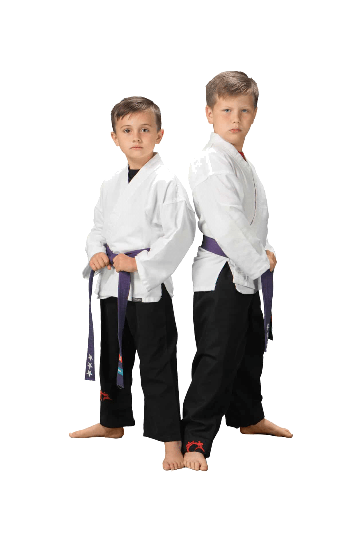 Greg Roy's Martial Arts Academy Home School Program