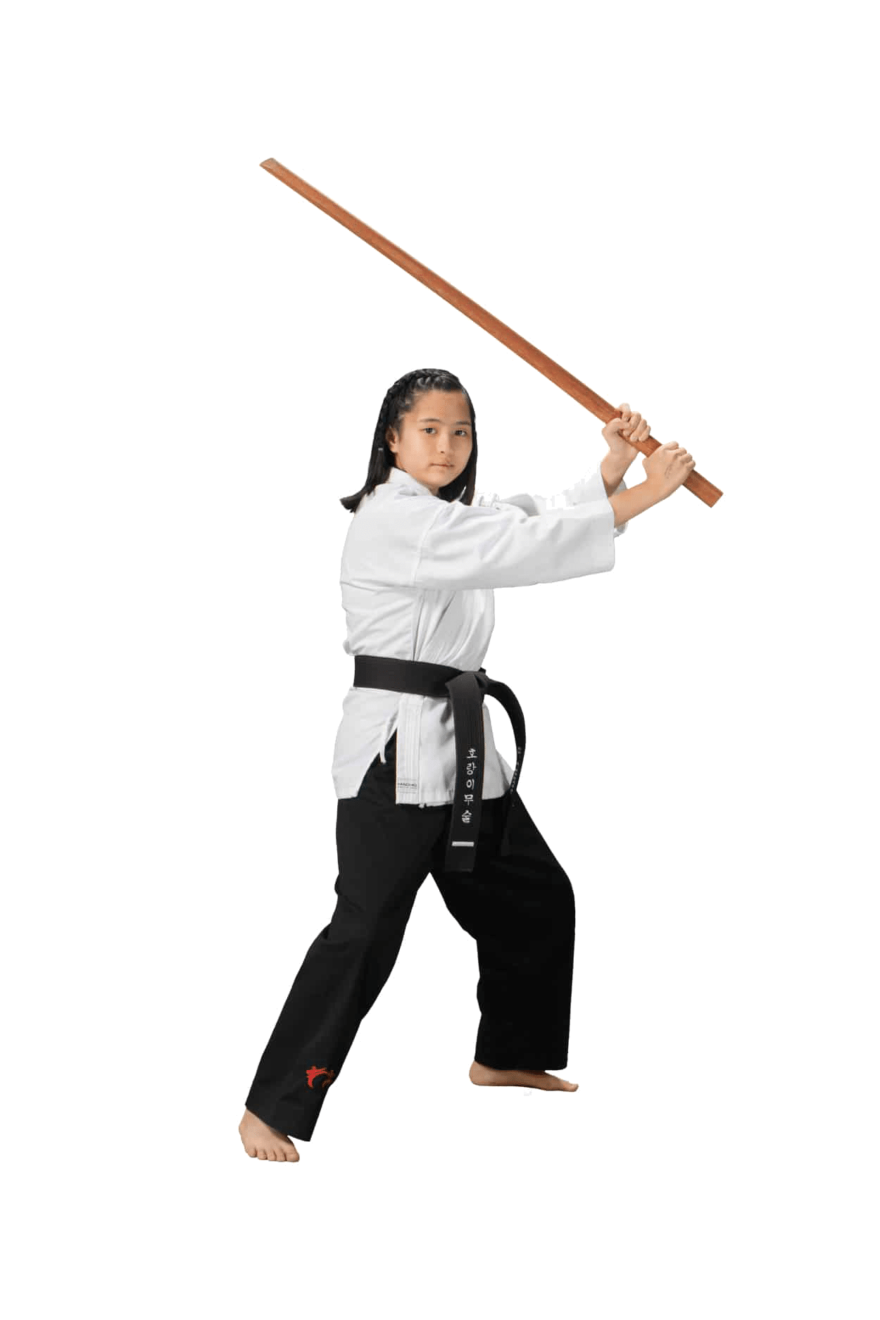 Greg Roy's Martial Arts Academy Weapons Program