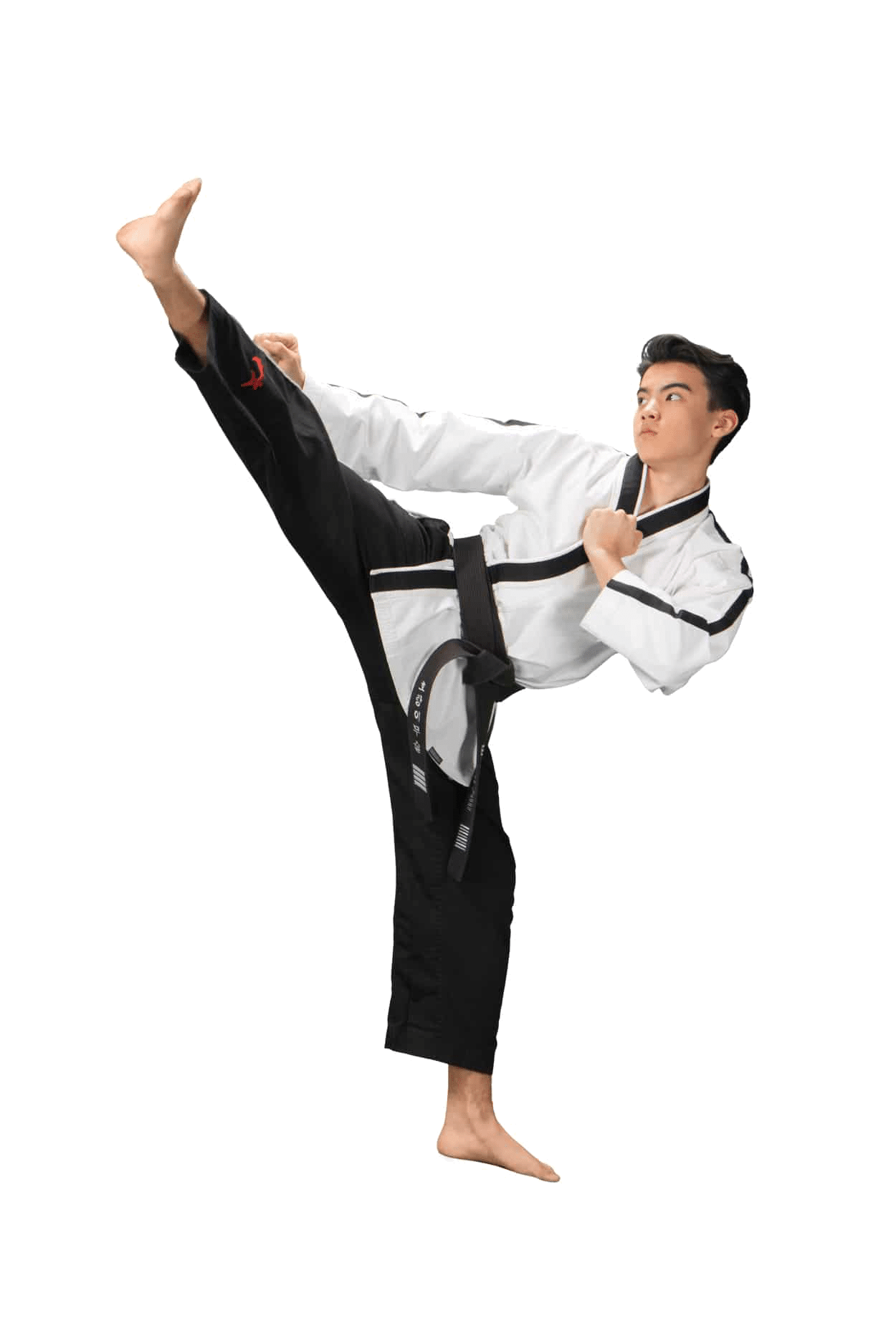 Greg Roy's Martial Arts Academy Taekwondo